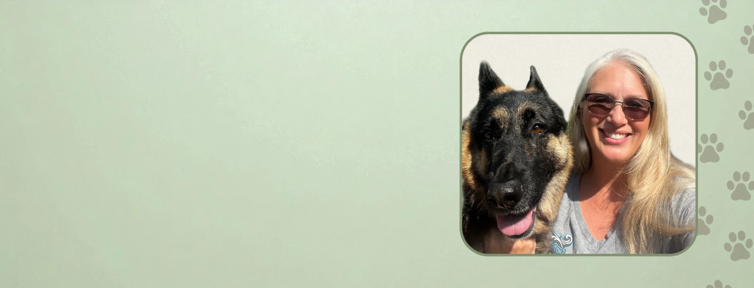 Welcome Dr. Stephanie Thomas to American Pet Hospital! Welcome Dr. Stephanie Thomas to American Pet Hospital!