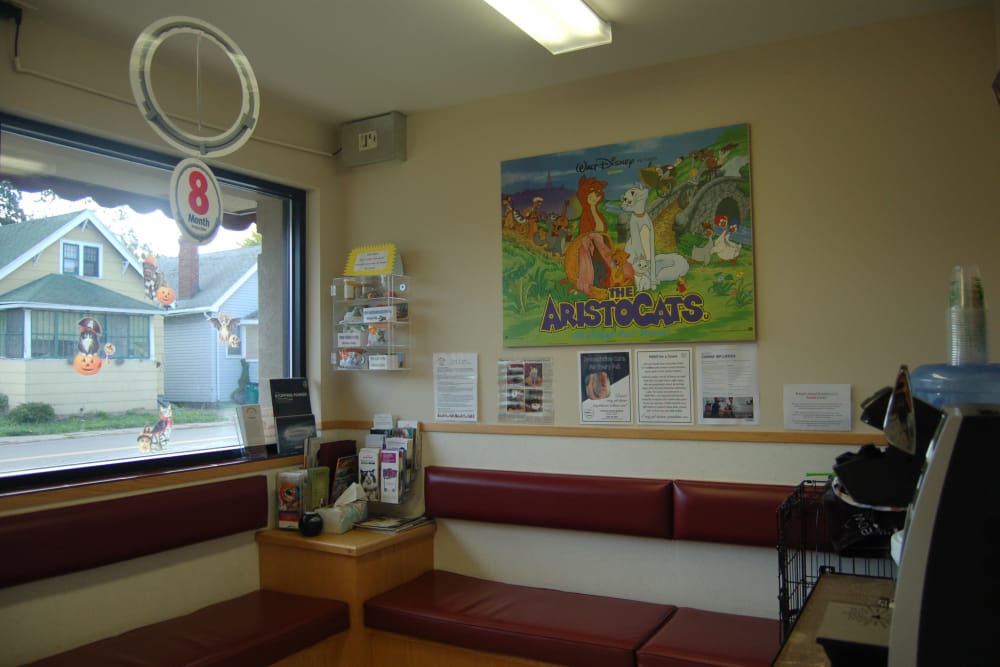 lobby at Kenmore Animal Hospital