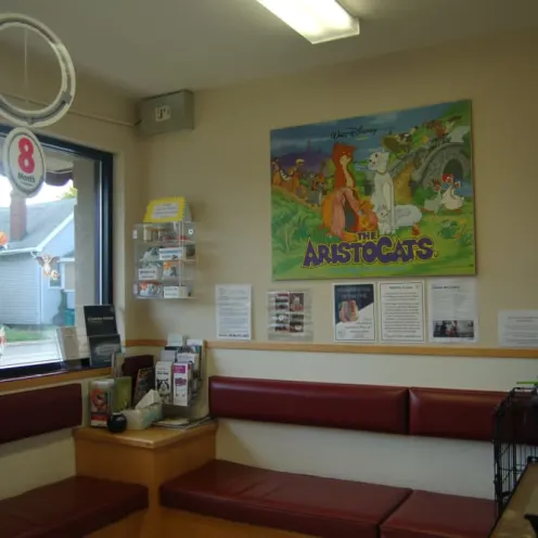 lobby at Kenmore Animal Hospital lobby at Kenmore Animal Hospital