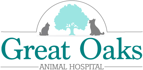 Veterinarian in Round Rock, TX | Great Oaks Animal Hospital
