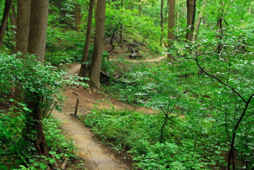 Hartshorne Woods & Trails