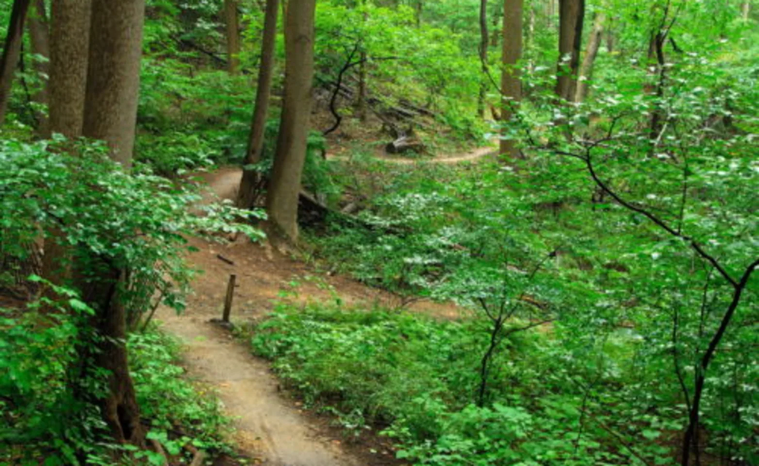 Hartshorne Woods & Trails Hartshorne Woods & Trails