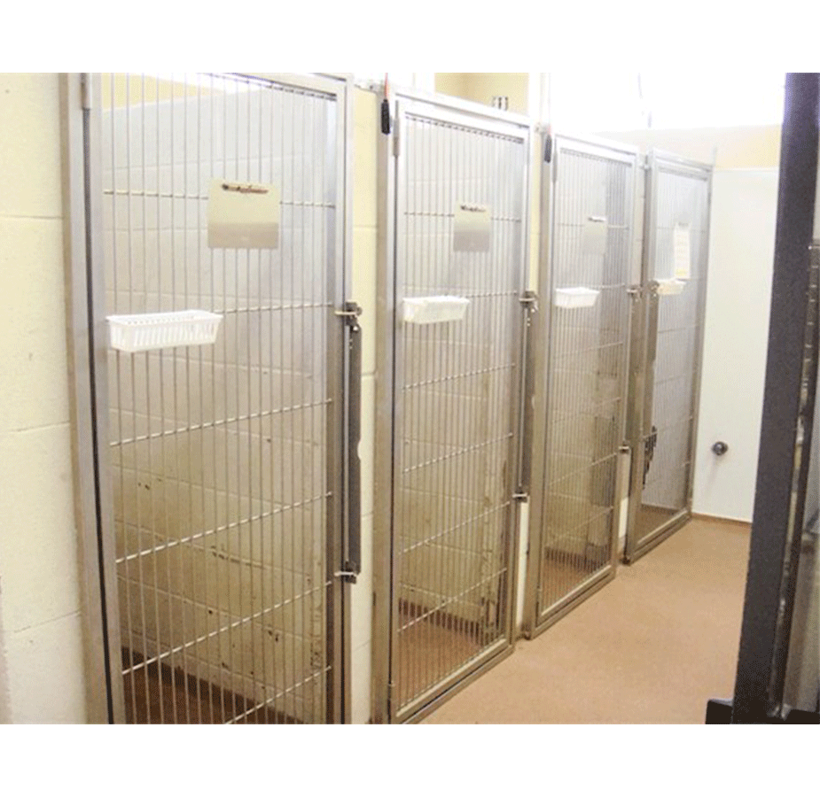 Southlake Crossing Animal Clinic Kennels