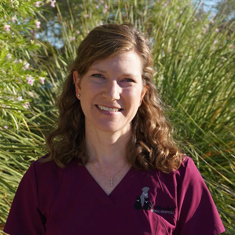 Mary Anne White, DVM at Southside Animal Hospital Mary Anne White, DVM at Southside Animal Hospital