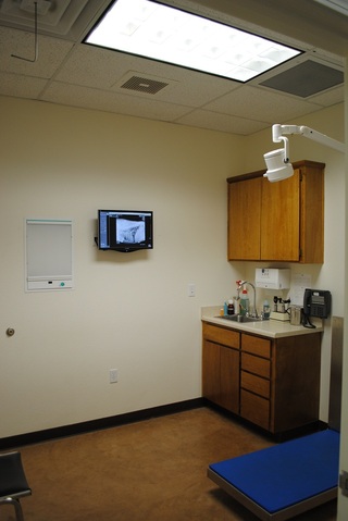 Westside Pet Hospital Checkups