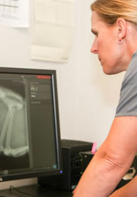 Veterinarian Examining an X-Ray at Islington Village Animal Hospital