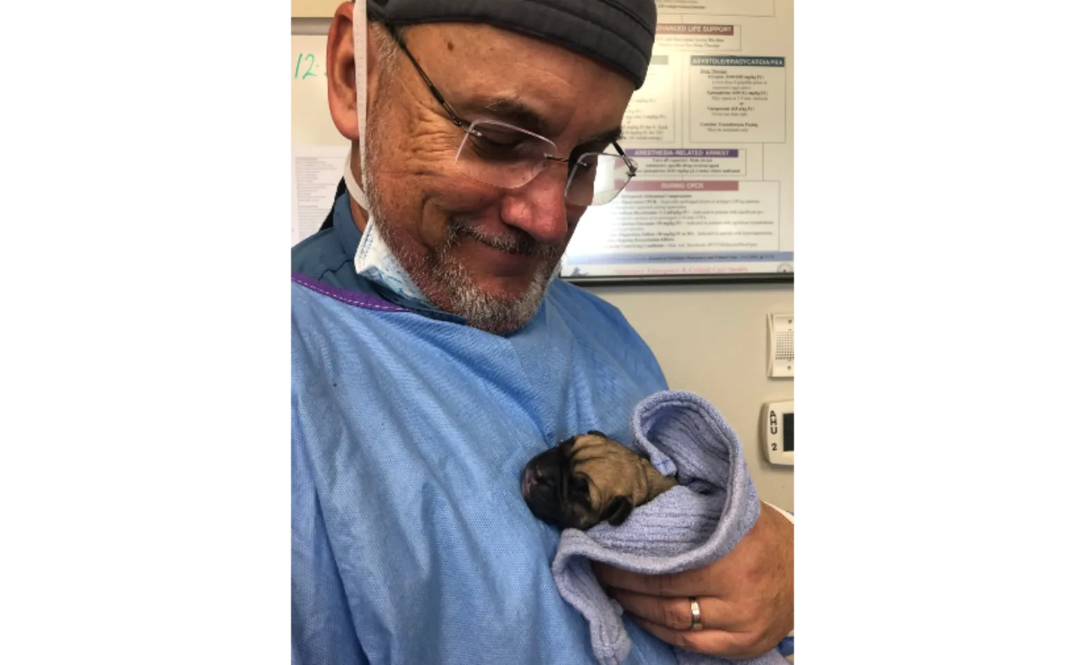 Surgeon at Pinellas Point holding a black dog 