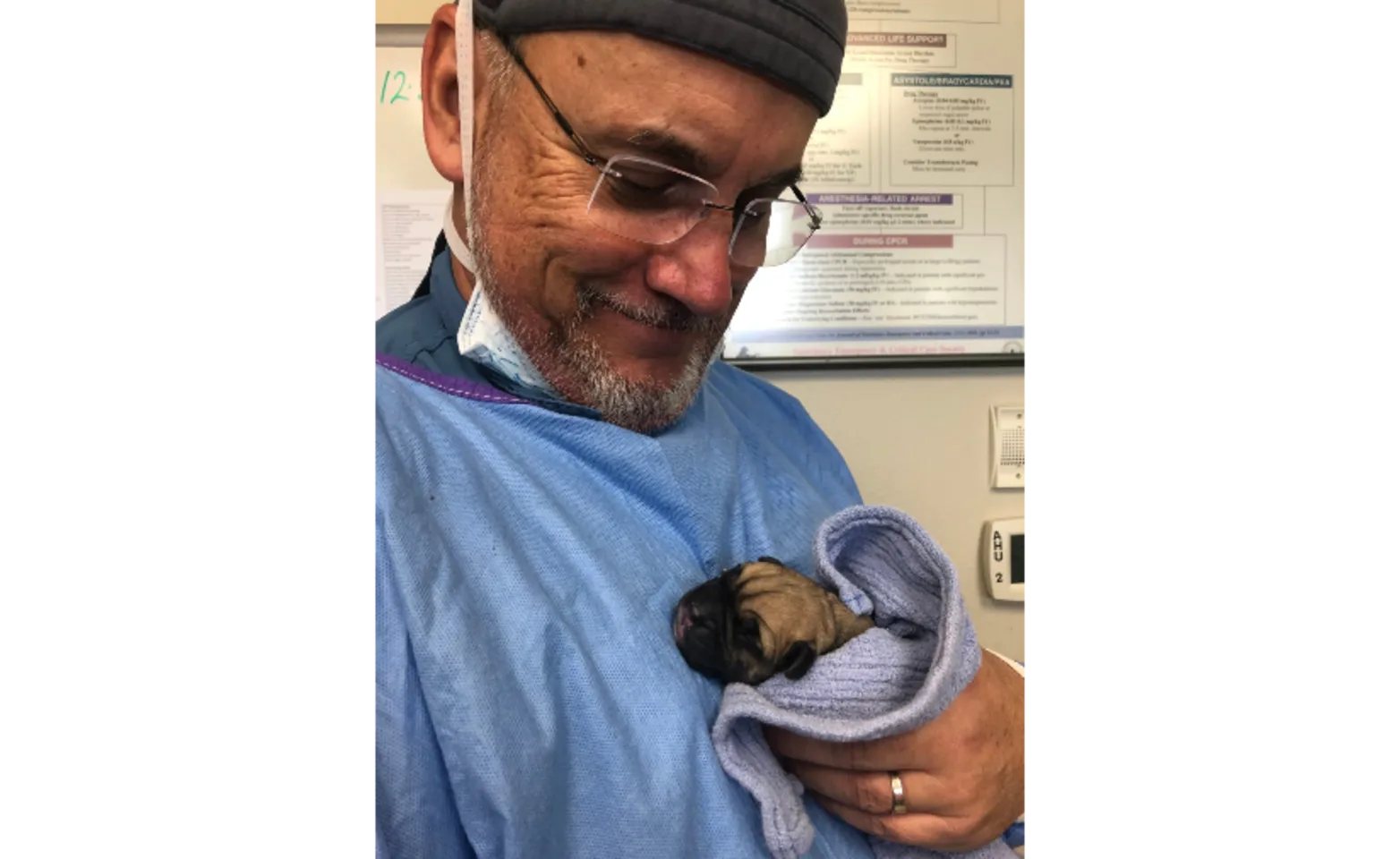Surgeon at Pinellas Point holding a black dog Surgeon at Pinellas Point holding a black dog