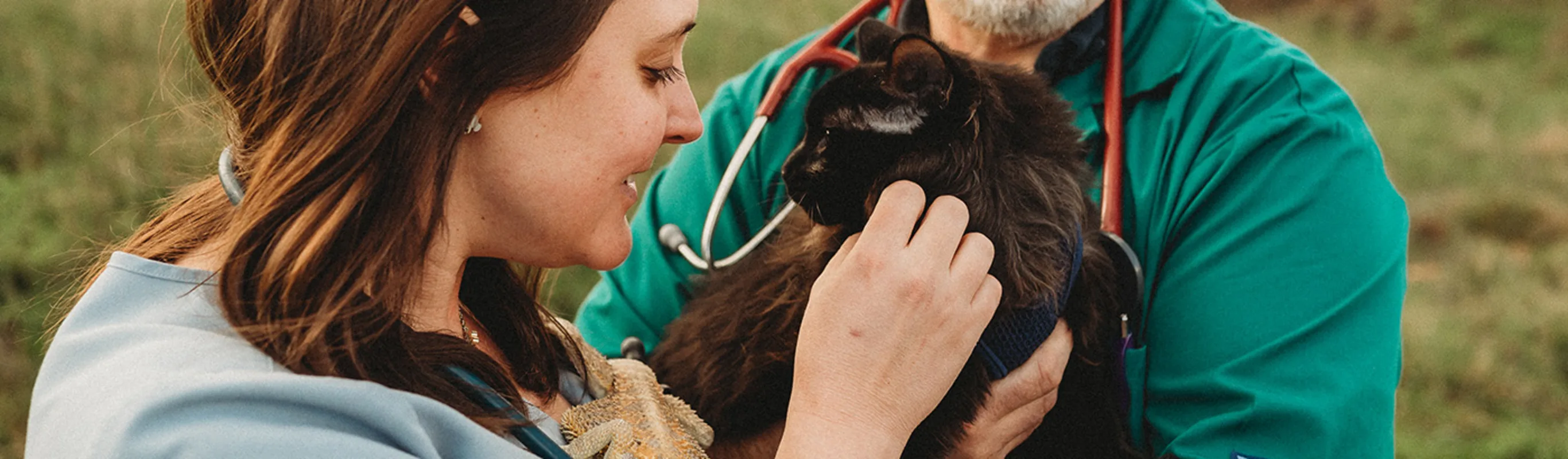 Two people holding a cat Two people holding a cat