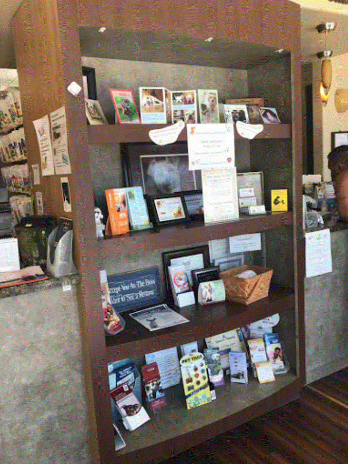 Telegraph Canyon Animal Medical Center's Book Shelf in the waiting room where you can read pamphlets. 