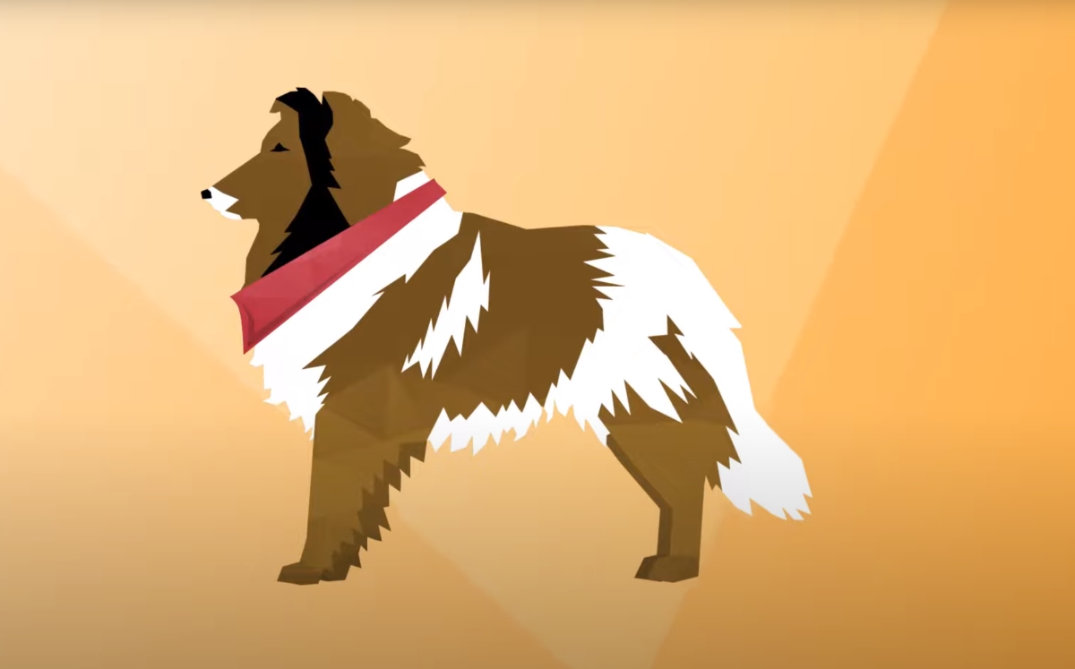 Brown cartoon dog with red collar with an orange background