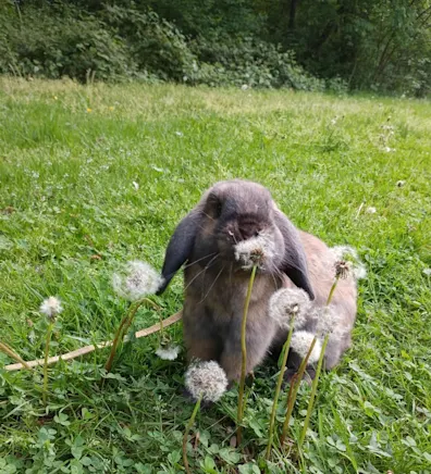 Jaclyn, CVT Jaclyn, CVT