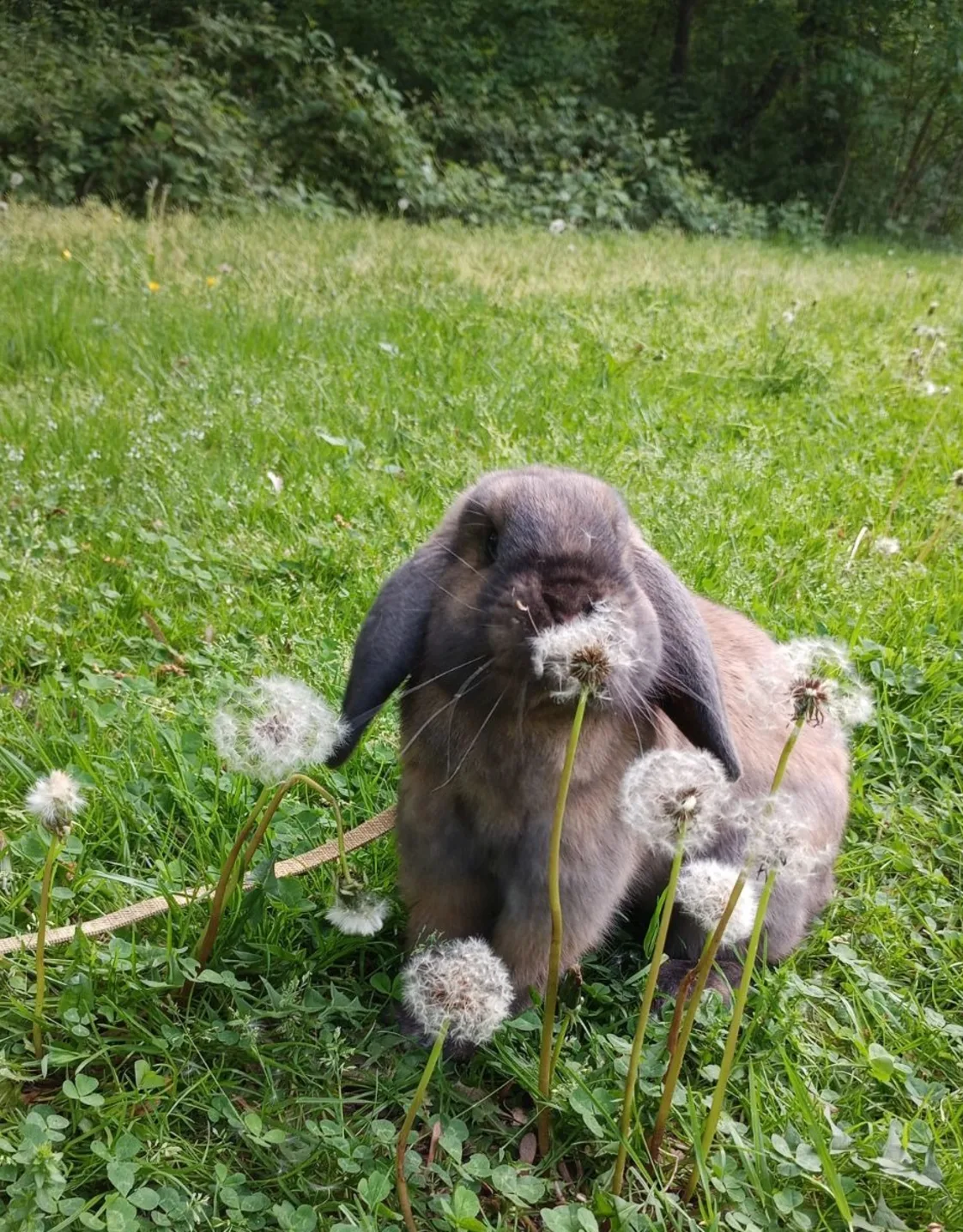 Jaclyn, CVT Jaclyn, CVT