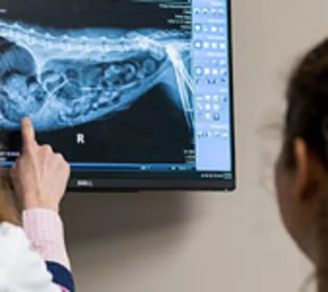 Staff members examining X-ray results. Staff members examining X-ray results.