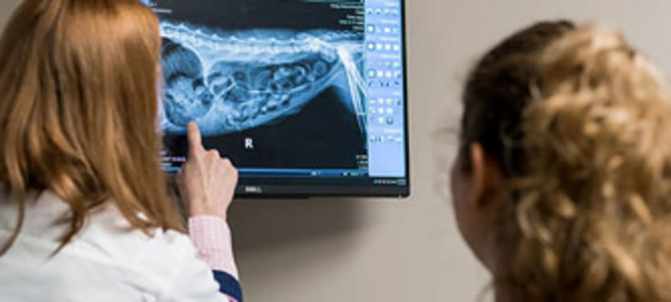Staff members examining X-ray results. Staff members examining X-ray results.