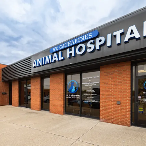 Front Exterior of St. Catharines Animal Hospital Front Exterior of St. Catharines Animal Hospital