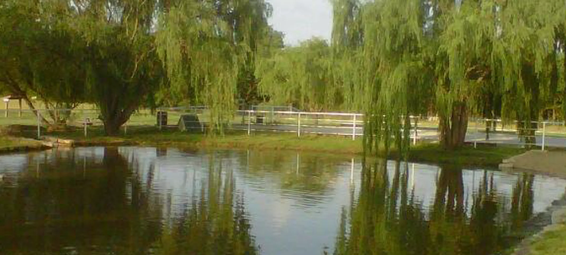 Lake at the Pet Ranch Lake at the Pet Ranch