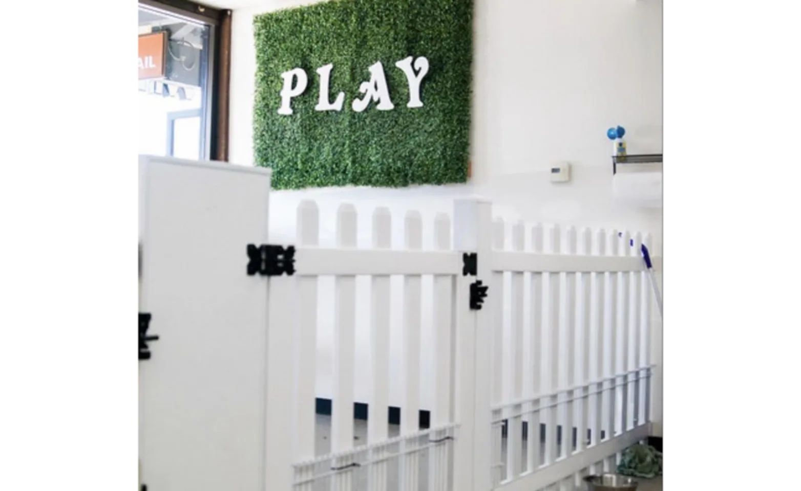 Interior of Doggiestylze with view of white fence and play sign Interior of Doggiestylze with view of white fence and play sign