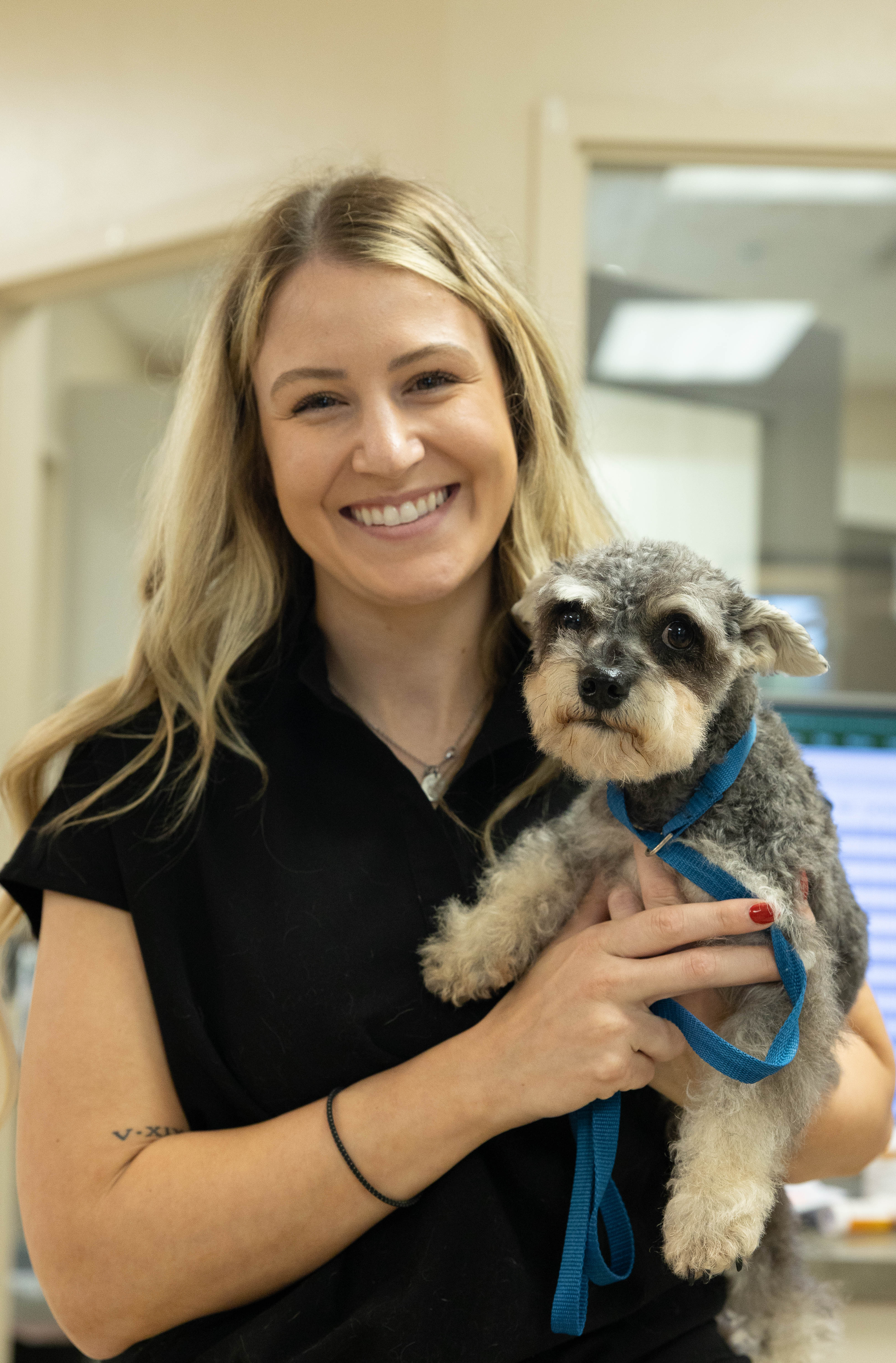 Staff Member Holding Schnauzer