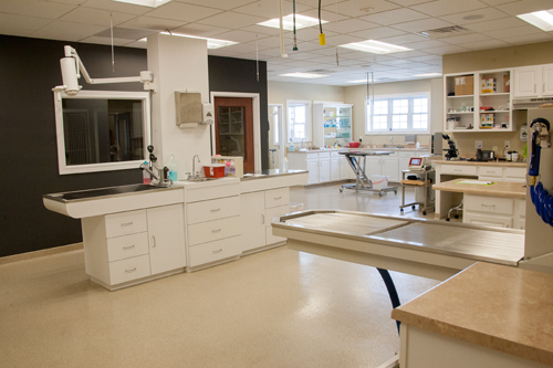 Hawthorne Park Animal Care Center Treatment Area