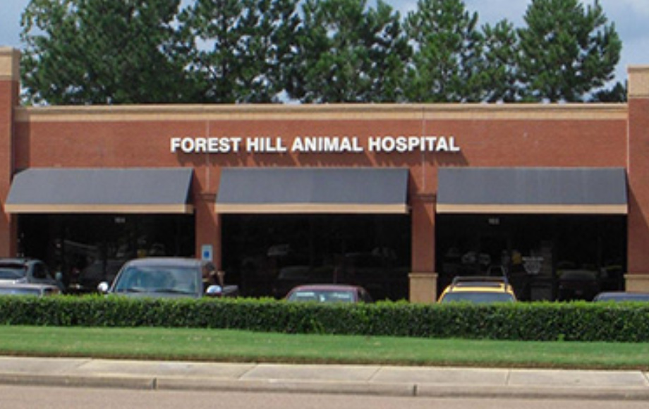 Veterinarian in Germantown, TN | Forest Hill Animal Hospital