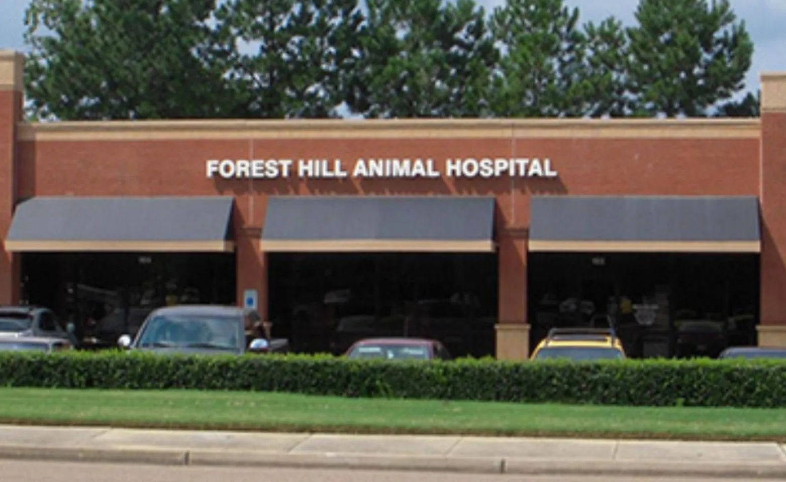 Forest Hill Animal Hospital Exterior
