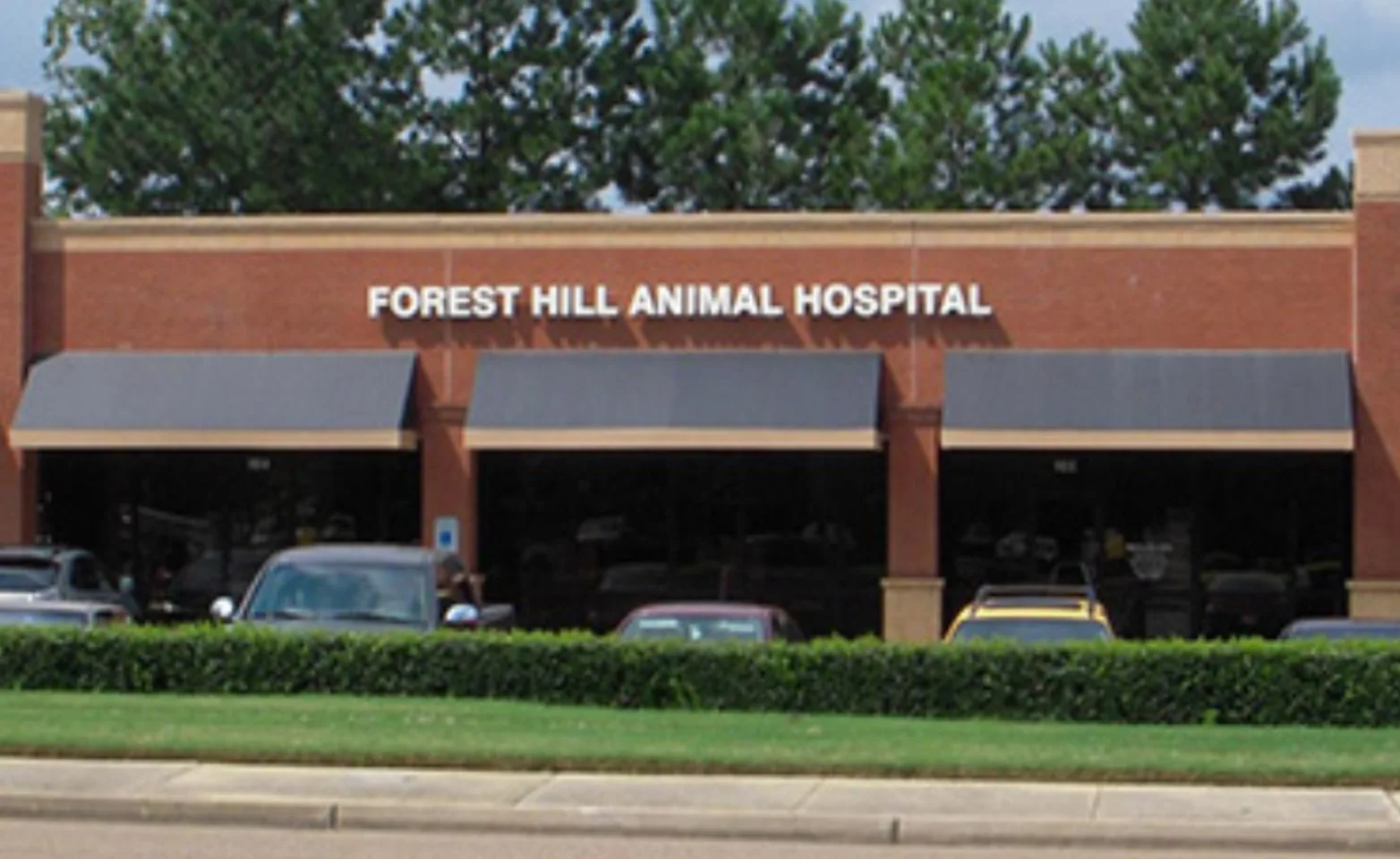 Forest Hill Animal Hospital Exterior