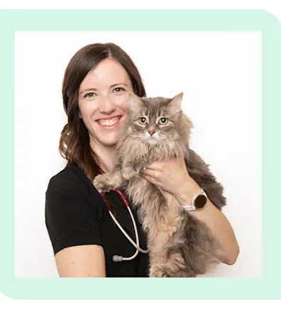 Dr. Amanda Hauer Dr. Amanda Hauer