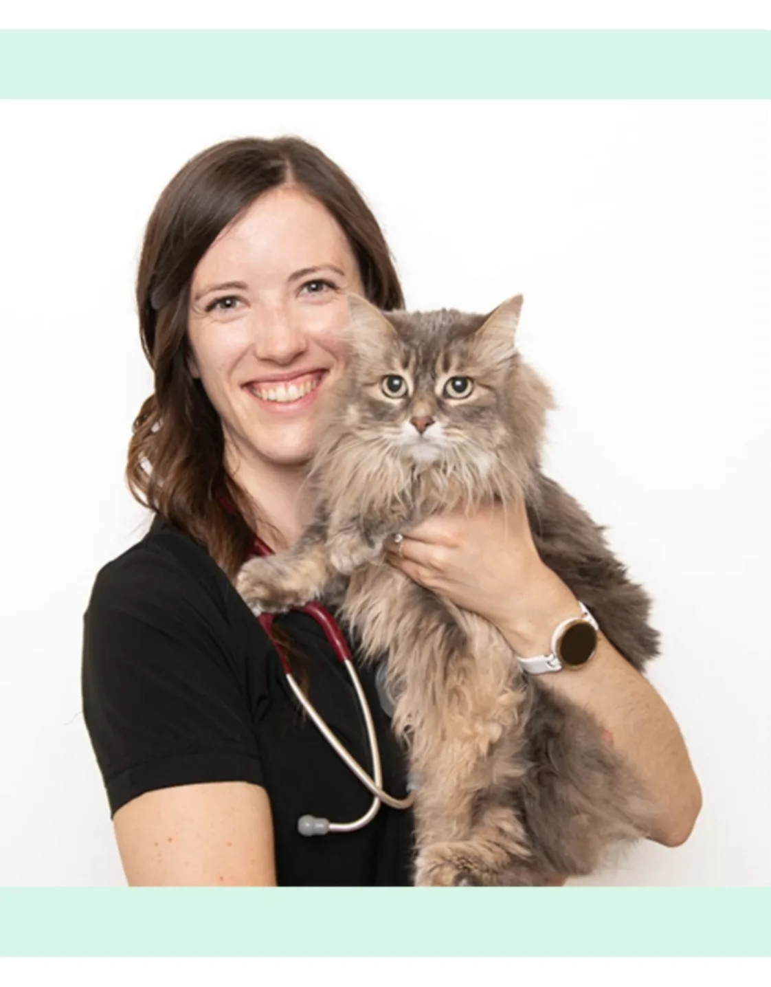 Dr. Amanda Hauer Dr. Amanda Hauer