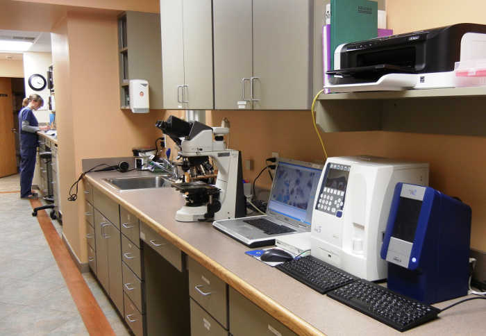 Laboratory and diagnostic equipment used by Oakhurst Veterinary Hospital's staff