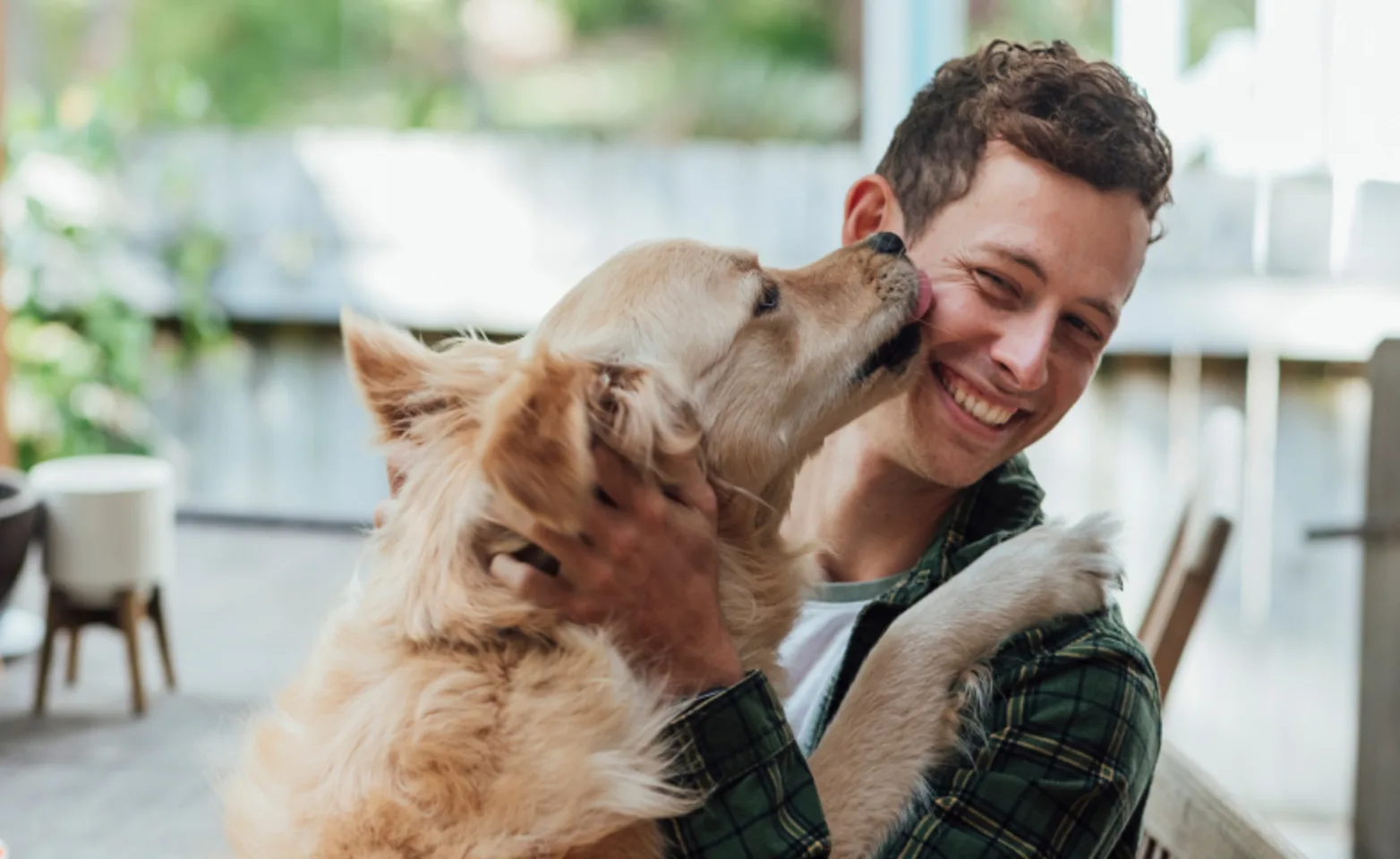 Dog licking man Dog licking man