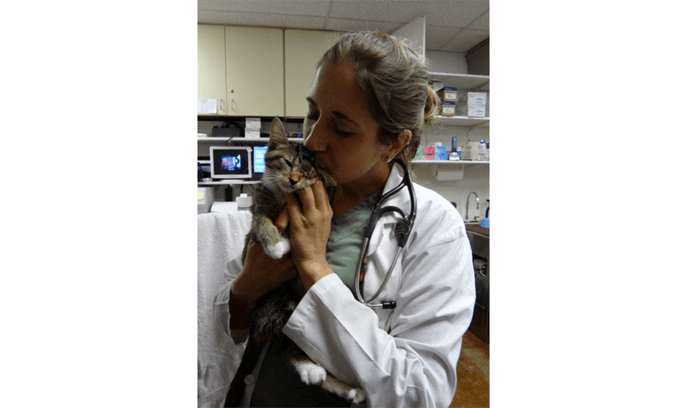 Bogey Hills Animal Hospital Vet