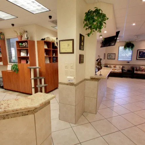 Hometown Animal Hospital - Front Lobby - Second Angle