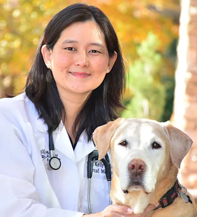 Kelly Wang, DVM, MS & DACVIM at Nashville Veterinary Specialists Kelly Wang, DVM, MS & DACVIM at Nashville Veterinary Specialists