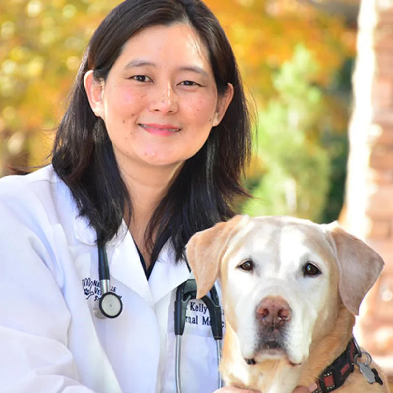 Kelly Wang, DVM, MS & DACVIM at Nashville Veterinary Specialists Kelly Wang, DVM, MS & DACVIM at Nashville Veterinary Specialists