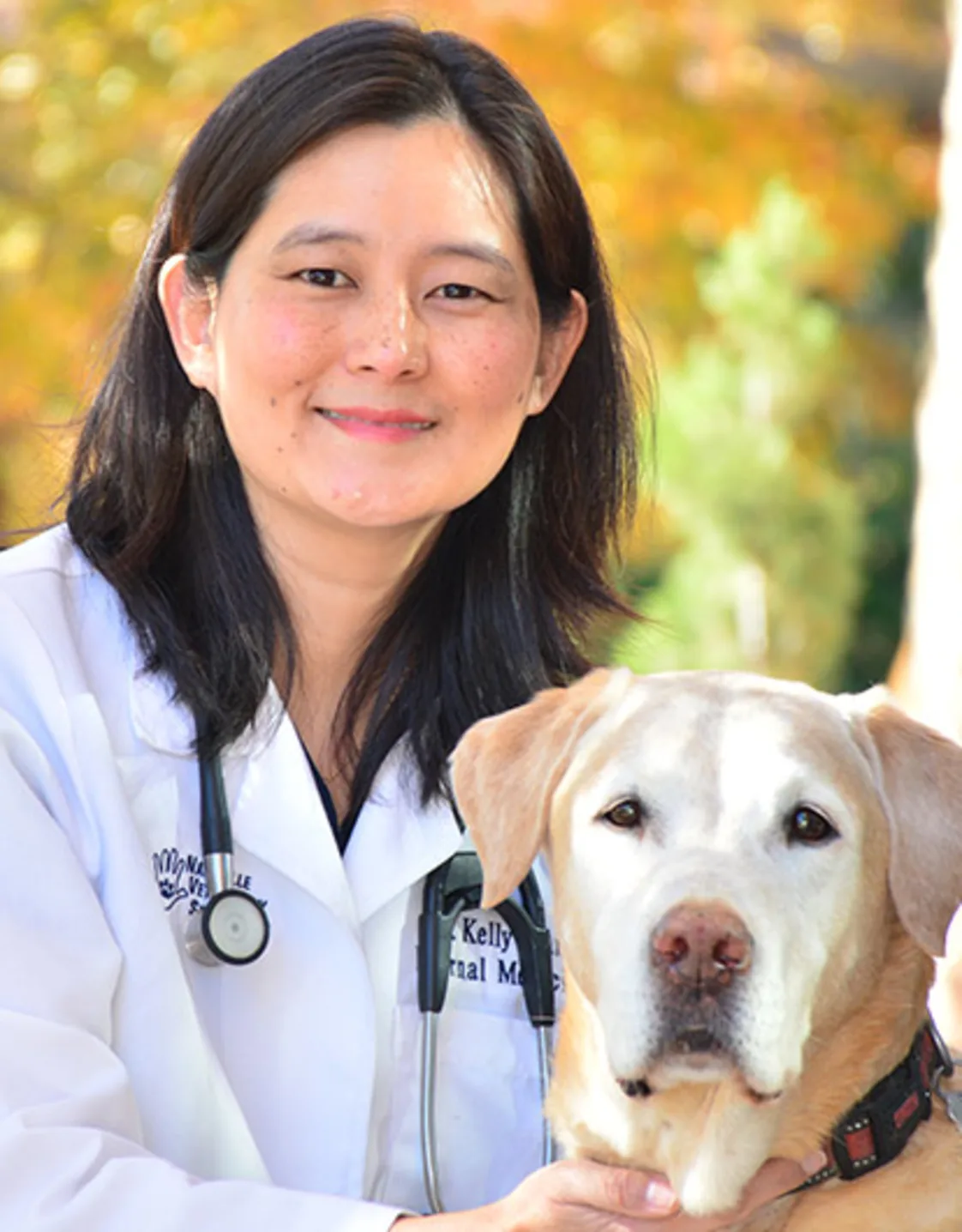 Kelly Wang, DVM, MS & DACVIM at Nashville Veterinary Specialists Kelly Wang, DVM, MS & DACVIM at Nashville Veterinary Specialists