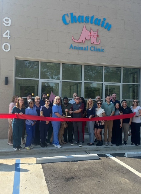 Ribbon Cutting at Chastain Animal Clinic