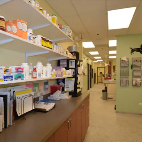 Animal Medical Clinic of Wheaton Animal Medical Clinic of Wheaton