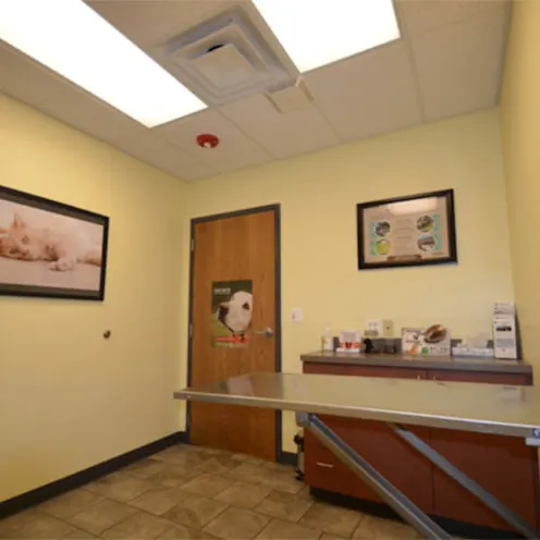 Animal Medical Clinic of Wheaton Animal Medical Clinic of Wheaton