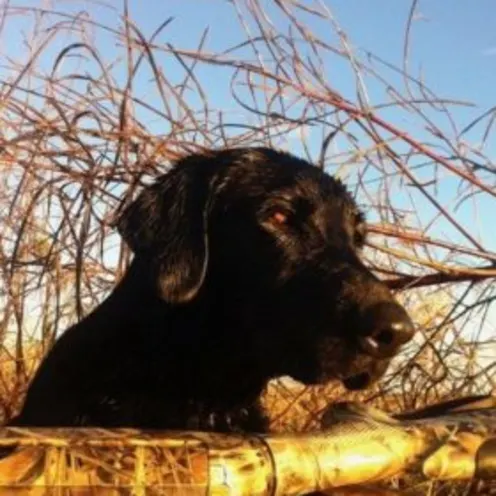 Jax Plauche Jax Plauche