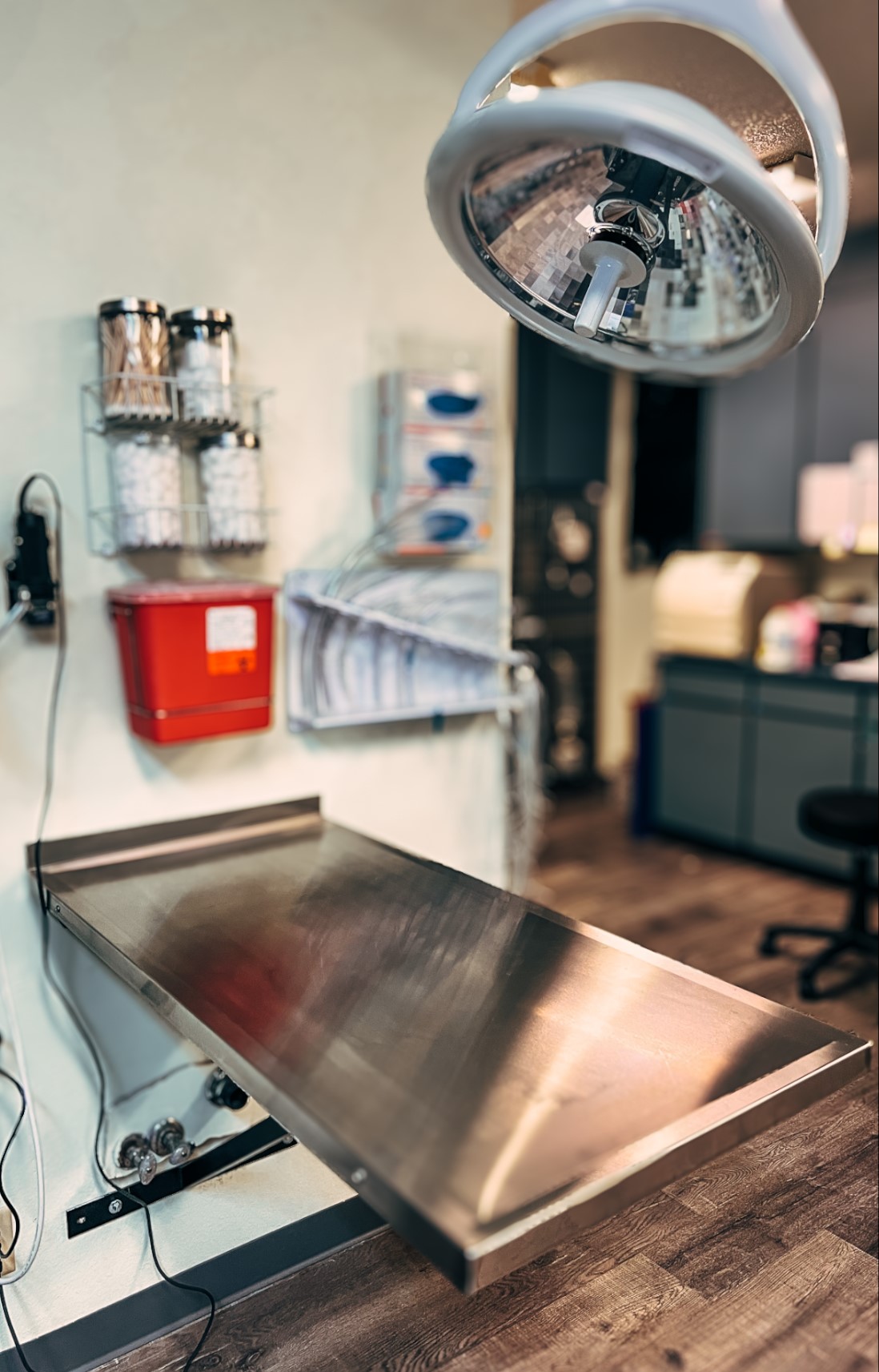 American Pet Hospital's Treatment Area