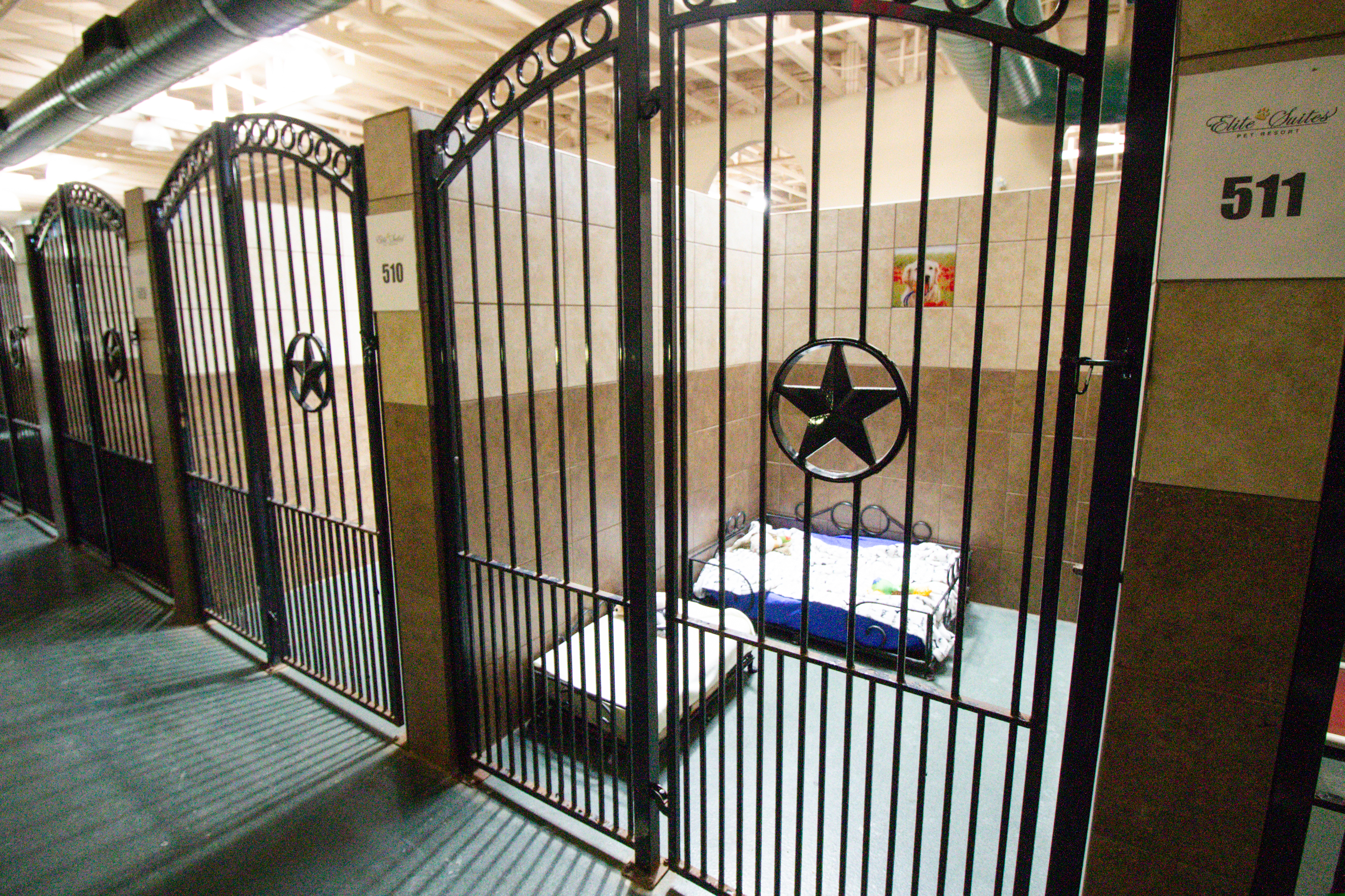 Kennels for dog boarding in Heath at Elite Suites Pet Resort