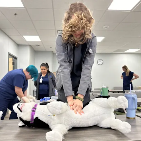 Student Practicing CPR Student Practicing CPR
