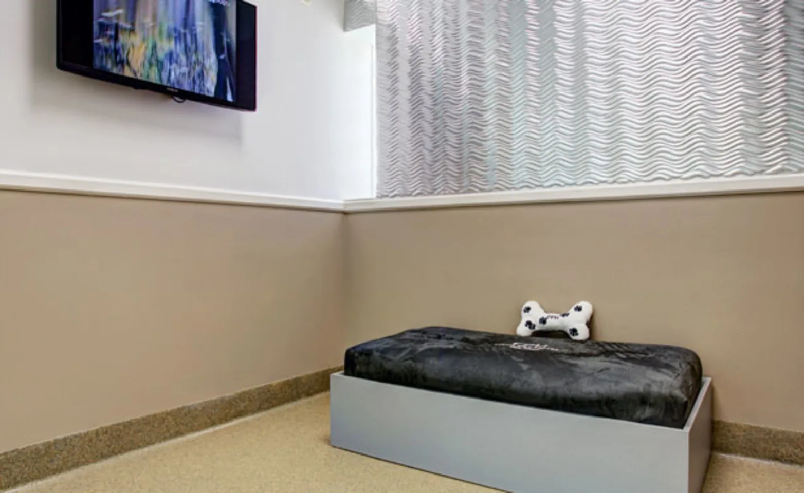 Posh Pet Hotel royal dog room with a dog bed and TV