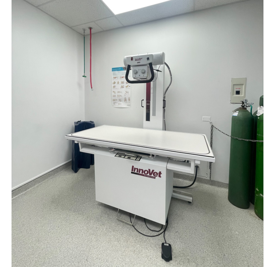 Burnham Park Animal Hospital's Radiology Area