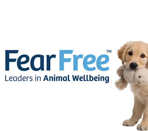 Fear Free Logo Fear Free Logo