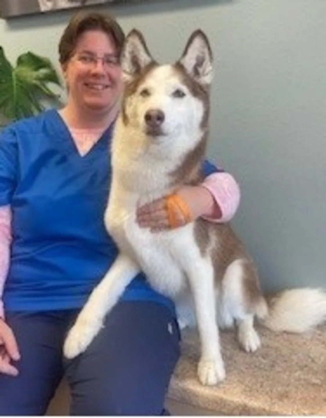 Ashley at Stonecrest Animal Hospital Ashley at Stonecrest Animal Hospital