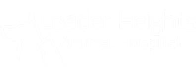 Leader Heights Animal Hospital Logo Leader Heights Animal Hospital Logo