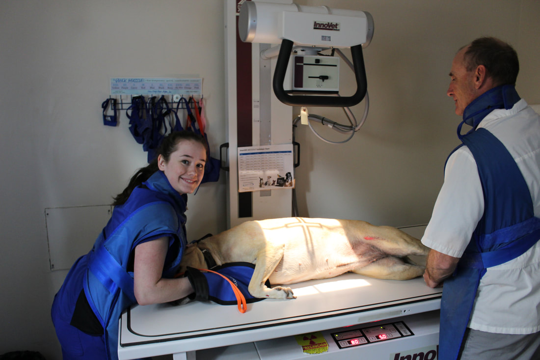 Hunter Animal Hospital staff smiling while they work