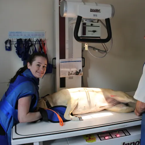 Hunter Animal Hospital staff smiling while they work